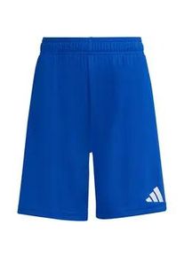 Adidas Entrada 26 Trainingsshorts Kinder JZ6524 - team royal blue/white 152