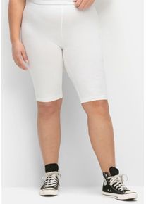 Wirkhose sheego, Damen, Gr. 46, Normalgr&ouml;&szlig;en, wei&szlig;, 95% Baumwolle, 5% Elasthan, unifarben, Hosen Wirkhose