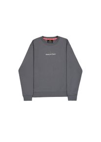 Sweater Alpha Industries "Foam ML Sweatshirt", Herren, Gr. XL, grauschwarz, Obermaterial: 80% Baumwolle, 20% Polyester, regular fit, Sweatshirts Sweater