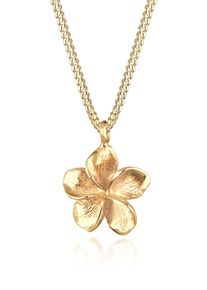 Kette mit Anh&auml;nger Elli "Halskette Frangipani Bl&uuml;te 925 Silber" Gr. 45, gold, Halsketten, Damen, 45, ohne Stein, Silber 925 (Sterlingsilber), Kette mit Anh&auml;nger