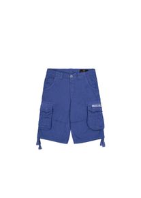 Shorts Alpha Industries "Jet Short", Herren, Gr. 29, Normalgr&ouml;&szlig;en, lila (night lila), Obermaterial: 100% Baumwolle, Hosen Shorts