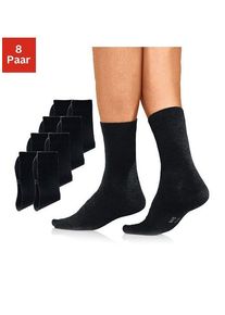 H.I.S. Basicsocken H.I.S, Damen, Gr. 47-48, schwarz, Baumwolle, Elasthan, Polyamid, unifarben, elastisch, Socken Basicsocken, mit hohem Baumwollanteil, Topseller