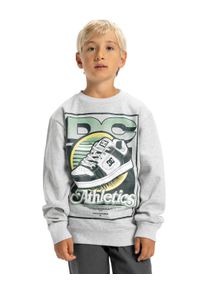Sweatshirt DC Shoes "Manteca Tribute", Jungen, Gr. 14(155-164cm), grau (light erdgrau), Obermaterial: 55% Walkfrottier, 25% Walkfrottier, 20% Microfaser;, Sweatshirts Sweatshirt