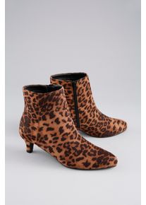 Stiefelette ANISTON SHOES, Damen, Gr. 37, braun (braun leo), Textil, Veloursleder, Schuhe Stiefelette, Rei&szlig;verschluss-Ankelboots, Trichterabsatz - NEUE KOLLEKTION