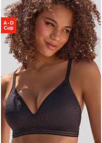 Bralette-BH Lascana "Freya", Damen, Gr. 70, Cup C, schwarz, Spitze, Obermaterial: 36% Polyamid, 29% Polyester, 27% Baumwolle, 8% Elasthan, BHs Bralette-BH, ohne B&uuml;gel mit eingearbeitetem Push-up Kissen, Dessous, Topseller