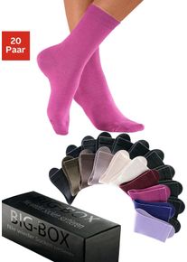 Basicsocken GO IN, Damen, Gr. 39-42, bunt (2x braun, 2x beige, 2x lila, 1x beere, 1x ruby, 1x khaki, 11x schwarz), Baumwolle, Baumwollmischung, Elasthan, Polyamid, unifarben, elastisch, Socken Basicsocken, in der gro&szlig;en Big-Box