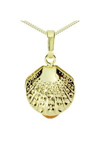 Kette und Anh&auml;nger Set OSTSEE-SCHMUCK "- Muschel - Gold 333/000 - Bernstein" Gr. 42, gold (gold 333, goldfarben, gelb), Schmuck_Sets, Damen, 42, Gelbgold 333, Kette und Anh&auml;nger Set