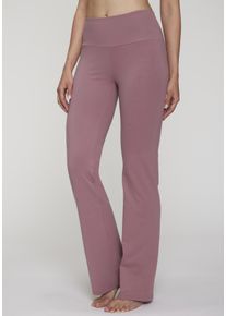 active by Lascana Jazzpants LASCANA ACTIVE, Damen, Gr. 52/54, N-Gr, lila (mauve), Single Jersey, Obermaterial: 95% Baumwolle, 5% Elasthan, unifarben, Basic, lang, Hosen Jazzpants, mit breitem B&uuml;ndchen, Topseller