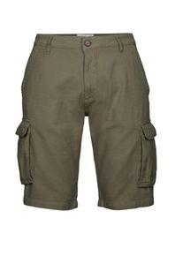 G.I.G.A. by Killtec Bermudas "GS 93 MN BRMDS", Herren, Gr. 52, Normalgr&ouml;&szlig;en, gr&uuml;n (olivgr&uuml;n), Obermaterial: 100% Baumwolle;Futter: 70% Polyester, 30% Baumwolle, G.I.G.A. DX BY KILLTEC, Hosen Bermudas, Baumwoll-Bermuda mit vielen Taschen, Autolock-Zipper, G&uuml;rtelschlaufen