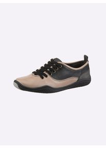 Schn&uuml;rschuh Gemini, Damen, Gr. 41, beige (elfenbein, schwarz), Glattleder, Schuhe Schn&uuml;rschuh