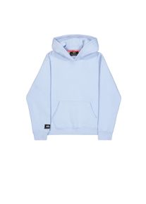 Hoodie Alpha Industries "Label Hoodie Backprint ", Herren, Gr. M, artic blau, Obermaterial: 80% Baumwolle, 20% Polyester, regular fit, Sweatshirts Hoodie