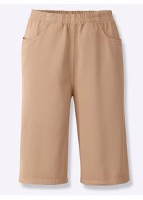 Bermudas Classic Basics, Damen, Gr. 46, Normalgr&ouml;&szlig;en, beige, 100% Baumwolle, unifarben, knielang, Hosen Bermudas