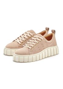 Sneaker ELBSAND, Damen, Gr. 41, beige (beige, ros&eacute;), Obermaterial: 100% Rindsleder. Decksohle: 100% Textilmaterial. Futter: 100% Textilmaterial. Laufsohle: 100% Synthetik, unifarben, Schuhe Sneaker, Freizeitschuh, Schn&uuml;rhalbschuh, Halbschuh aus Leder mit Plateausohle