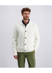 Strickjacke Pierre Cardin, Herren, Gr. L, beige (elfenbein), Strick, Obermaterial: 55% Baumwolle, 23% Polyamid, 22% Polyester, unifarben, regular fit taillenbedeckt, ohne Ausschnitt, Rippb&uuml;ndchen, Strickjacken Strickjacke, mit Rippb&uuml;ndchen