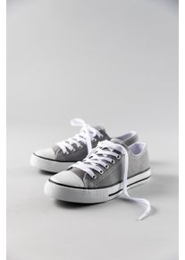Sneaker ANISTON SHOES, Damen, Gr. 38 (5), grau, Textil, Schuhe Sneaker, Freizeitschuh, Schn&uuml;rschuh - NEUE KOLLEKTION, Topseller