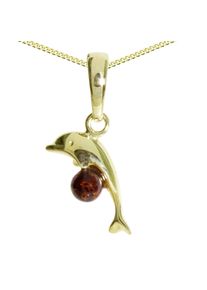 Kette und Anh&auml;nger Set OSTSEE-SCHMUCK "- Delphin - Gold 333/000 - Bernstein" Gr. 42, gold (gold 333, goldfarben, gelb), Schmuck_Sets, Damen, 42, Gelbgold 333, Kette und Anh&auml;nger Set