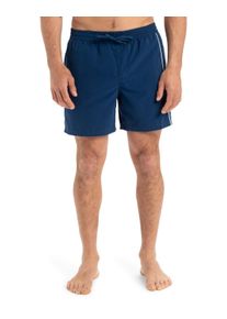 Boardshorts Quiksilver "Everyday Vert 16", Herren, Gr. L, blau (estate blau), Obermaterial: 100% Microfaser;, Hosen Boardshorts