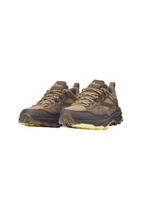 Wanderschuh Jack Wolfskin "CYROX TEXAPORE LOW W", Damen, Gr. 43, beige (sand storm), Leder, Textil, Schuhe Wanderschuh, Wasserdicht, Trekkingschuh