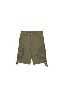Shorts Alpha Industries "Jet Short", Herren, Gr. 36, Normalgr&ouml;&szlig;en, gr&uuml;n (schwarz olive), Obermaterial: 100% Baumwolle, Hosen Shorts