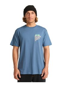 T-Shirt Billabong "Twin Fin", Herren, Gr. XL, grau (slate blau), Obermaterial: 100% Walkfrottier;, Shirts T-Shirt