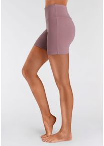 Shorts Lascana, Damen, Gr. 44/46, N-Gr, lila (mauve), Single Jersey, Obermaterial: 95% Baumwolle, 5% Elasthan, unifarben, Basic, skinny fit, Hosen Shorts, mit breitem B&uuml;ndchen und Logodruck, Topseller