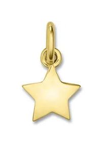 Kettenanh&auml;nger ONE ELEMENT "Stern Anh&auml;nger aus 333 Gelbgold", gold, Schmuckanh&auml;nger, M&auml;dchen, Gelbgold 333 Gold, Gelbgold 333, Gold, Kettenanh&auml;nger, Fein gefertigt &ndash; ein Zeichen mit besonderer Bedeutung