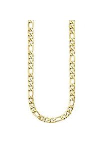 Edelstahlkette "Schmuck Geschenk Edelstahl Halsschmuck Figarokette", gold (gelbgoldfarben), ANISTON JEWELRY & WATCHES, Halsketten, Damen, Edelstahl, L: 47 B: 6,6mm, Edelstahlkette, B:6,6mm