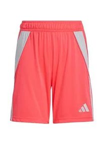 Adidas Tiro 24 Trainingsshorts Kinder JC6205 - shock red 116
