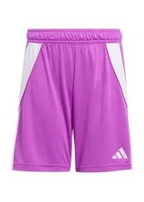 Adidas Tiro 24 Trainingsshorts Kinder JC6207 - purple burst 116