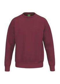 Erima Teamsport Sweatshirt Kinder new bordeaux 128