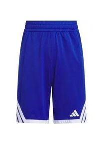 Adidas Everyday Pro Basketballshorts Kinder JM5131 - team royal blue/white 152