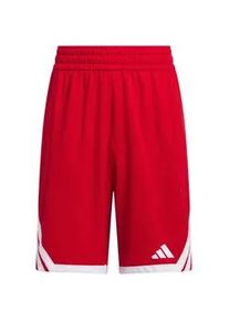 Adidas Everyday Pro Basketballshorts Kinder JM5132 - team power red/white 152