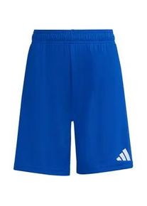 Adidas Entrada 26 Trainingsshorts Kinder JZ6524 - team royal blue/white 128