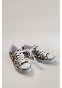 Sneaker ANISTON SHOES, Damen, Gr. 37 (4,5), braun (leo), Textil, Schuhe Sneaker, Freizeitschuh, Schn&uuml;rschuh - NEUE KOLLEKTION