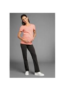 Umstandsshirt Neun Monate "2tlg. Set: T-Shirt+Leggings", Damen, Gr. 40/42, schwarz (aprikot geringelt, schwarz), Jersey, Obermaterial: 95% Baumwolle, 5% Elasthan, geringelt, figurbetont, Rundhals, Shirts Umstandsshirt, Komplett Outfit f&uuml;r die Schwangerschaft und Stillzeit