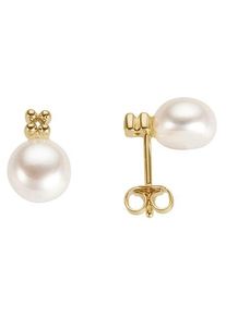 Paar Ohrstecker Firetti "Schmuck Geschenk Gold 333 Ohrschmuck Kugeln", gold (gelbgoldfarben, wei&szlig;), Ohrringe, Damen, 7,5mm, Gelbgold 333 Perlen, Gelbgold 333, Perlen, Paar Ohrstecker, mit S&uuml;&szlig;wasserzuchtperle