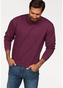 Sweatshirt Fruit of the Loom, Herren, Gr. M (48/50), rot (bordeaux), angeraute Sweatware, Obermaterial: 80% Baumwolle, 20% Polyester, unifarben, schmal h&uuml;ftlang, Rundhals, Rippb&uuml;ndchen, Sweatshirts Sweatshirt, im unifarbenen Design, Topseller