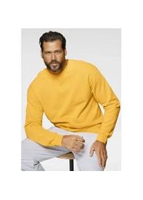 Sweatshirt Fruit of the Loom, Herren, Gr. XXL (60/62), gelb (sonnengelb), angeraute Sweatware, Obermaterial: 80% Baumwolle, 20% Polyester, schmal h&uuml;ftlang, Rundhals, Rippb&uuml;ndchen, Sweatshirts Sweatshirt, im unifarbenen Design