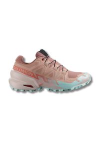 Salomon Damen Speedcross 6 bunt 43.3