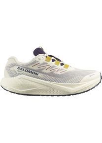 Salomon Herren Aero Blaze 3 Gravel GTX beige 45.3