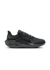 Nike Herren Pegasus 41 GTX schwarz 42.0