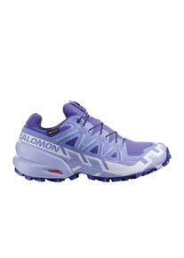 Salomon Damen Speedcross 6 GTX blau 42.6