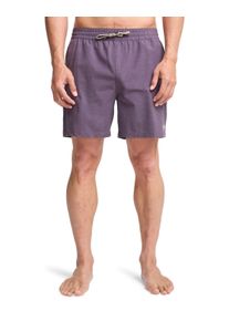 Boardshorts Billabong "Every Other Day", Herren, Gr. L, dusty grape, Obermaterial: 72% Microfaser, 20% Walkfrottier, 8% Elasthan;, Hosen Boardshorts