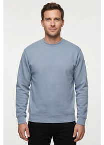 Sweatshirt Fruit of the Loom, Herren, Gr. S (44/46), blau (mineral blau), angeraute Sweatware, Obermaterial: 80% Baumwolle, 20% Polyester, unifarben, schmal h&uuml;ftlang, Rundhals, Rippb&uuml;ndchen, Sweatshirts Sweatshirt, im unifarbenen Design