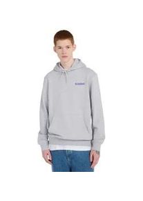 Hoodie Element "Swamps", Herren, Gr. L, mid grau heather, Obermaterial: 70% Walkfrottier, 30% Walkfrottier;, Sweatshirts Hoodie