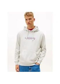 Tommy Hilfiger Hoodie TOMMY JEANS "TJM REG ENTRY DNA PLAY", Herren, Gr. S, ice grau heather, Sweatware, Obermaterial: 100% Baumwolle, regular fit normal, Rippb&uuml;ndchen, Sweatshirts Hoodie, regular fit, mehrfarbiges Logo, Sweatshirt