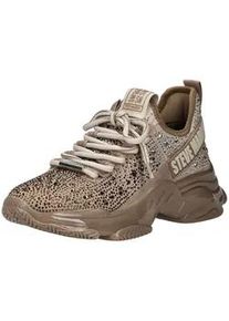 Sneaker Steve Madden "Steve Madden Sneaker Textil", Damen, Gr. 41, beige, gold, Textil, Schuhe Sneaker