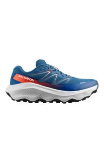 Salomon Herren Ultra Flow 2 GTX blau 44.0