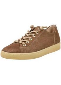 Sneaker Paul Green "Paul Green Sneaker Leder", Damen, Gr. 36, desert, Leder, Schuhe Sneaker