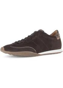 Sneaker Gabor "Sneaker low", Herren, Gr. 35, braun, Schuhe Sneaker